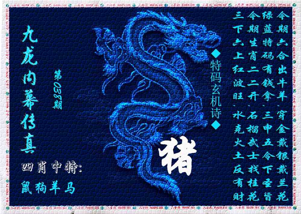 038期九龙内幕传真(新上市)[图]