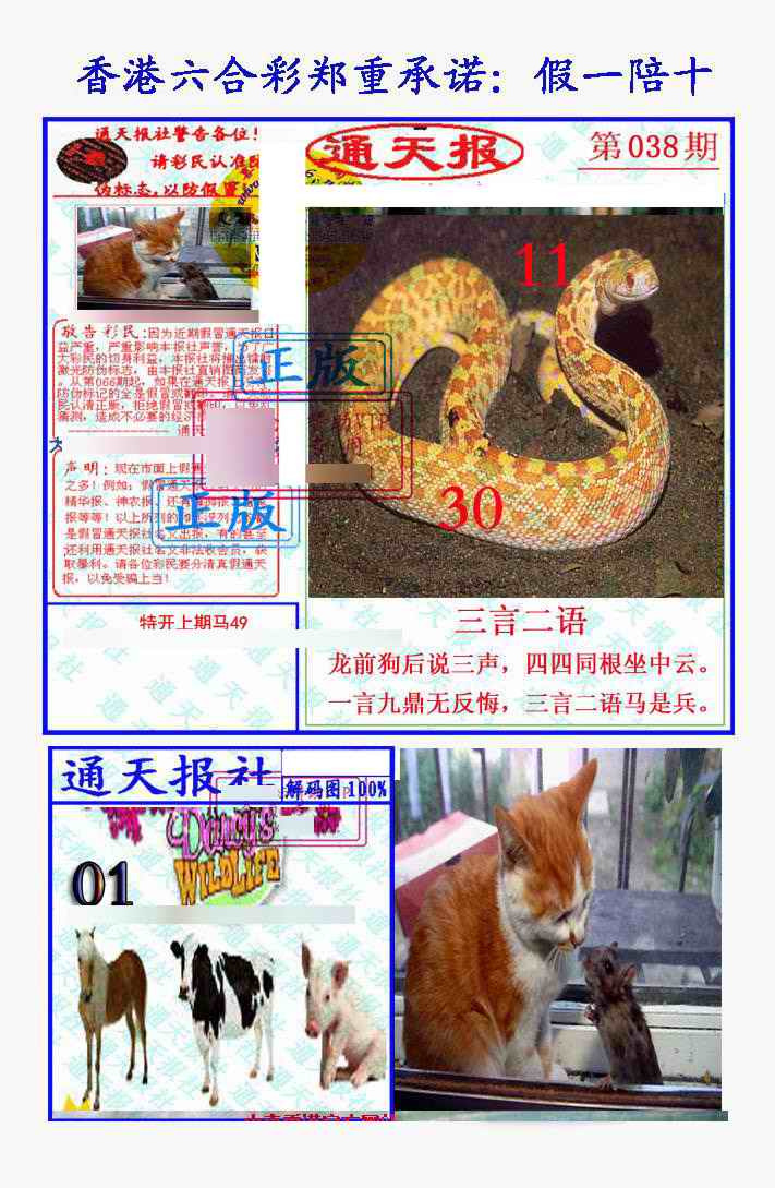 038期假一陪十通天报[图]